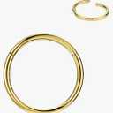 FANSING Men Women 316L Surgical Steel Hinged Nose Rings Hoop for Nostril Septum Cartilage Helix Daith Tragus Rook Conch Lip Ear Lobe Piercings