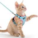 rabbitgoo Cat Harness and Leash for Walking, Escape Proof Soft Adjustable Vest Harnesses for Cats, Easy Control Breathable Reflective Strips Jacket, Light Blue&Pink, XXS