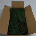 12 Pcs Artificial Norfolk Pine Branches, Norfolk Pine Artificial Pine Stems DIY Crafts Faux Christmas Greenary Norfolk Pine Branches for Xmas Wreath Garland Home Decor (12)