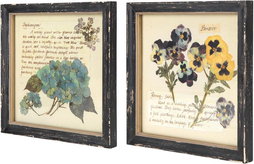NIKKY HOME Botanical Wall Art Set of 2, Vintage Botanical Prints Wooden Framed Floral Plant Pictures Poster Decor for Bathroom Bedroom Living Room Office, 10x10 Inch