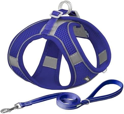 AIITLE No Pull Dog Harness and Leash Set, Step in Adjustable Dog Harness with Padded Vest for All Weather, Dog Leash with Soft Padded Handle, Easy to Put on Dogs Royal Blue 3XS