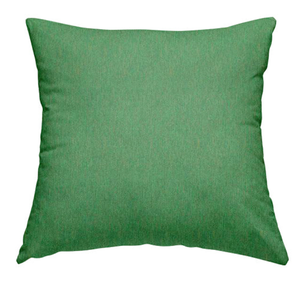 2 15x15 Green decorative pillows