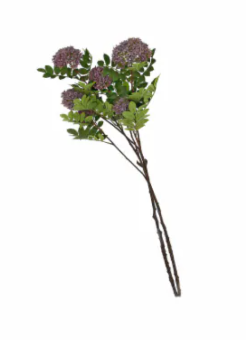 DI HD 36IN SEDUM STEM PURPLE (10 PC)