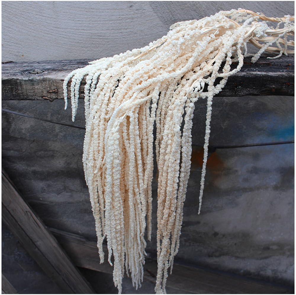 5Pcs Dried Preserved Amaranthus Hanging Flowers 35 Inches White Wisteria Vine Real Dried Flower for Wedding Bouquet Wall Decoration Home Decor
