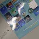Shark Mini Wall Calendar 2026