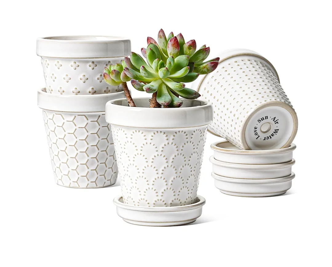 LE TAUCI 3 Inch Mini Succulent Pots - Very Small Ceramic Planter with Saucer, Tiny Embossed Flower Pots for Lithops, Mini Cactus, Air Plants, Fairy Gardens - Indoor Home Decor, Set of 4, Arctic White
