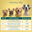 Maximum Absorbency Male Dog Diapers - Leak-Proof Disposable Male Dog Wraps- FlashDry Gel Technology, Wetness Indicator Doggie Diapers- Belly Wraps for Incontinence & Training (50 Pack, Small)
