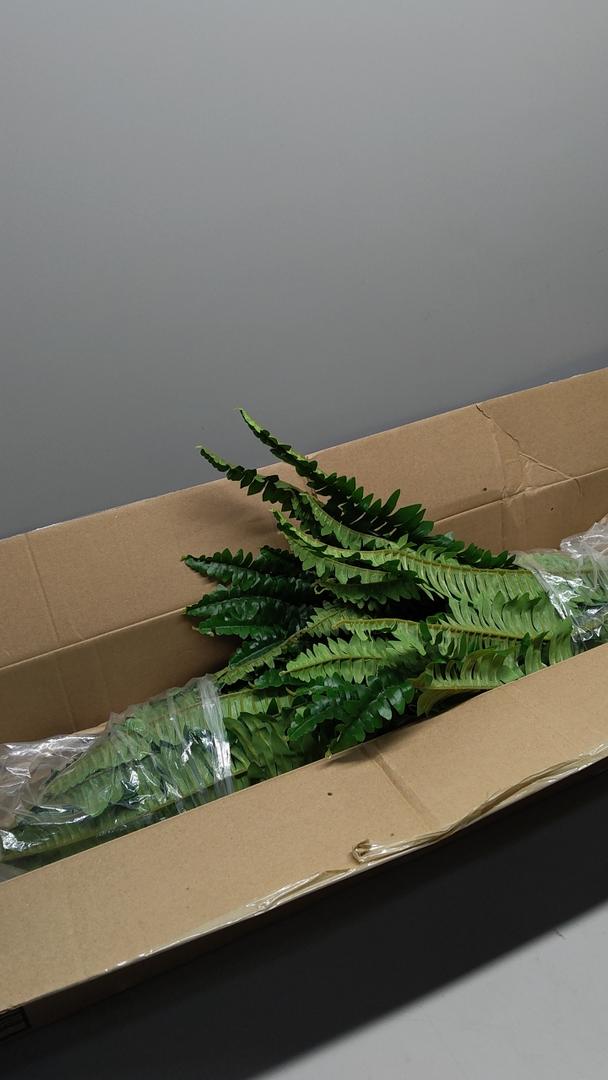 2-Piece Artificial Plant Set