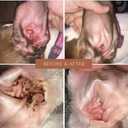 Dog Ear Cleaner Wipes | Bulldog, French Bulldog, Pug, English Bulldog | Cleans & Soothes Ears, Wrinkles, Folds, Tear Stain (Dog Ear Cleaner Wipes)