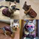 LESYPET Dog Leather Jacket for Small Dogs, Waterproof Dog Winter Jacket Puppy Coat with Fleece Lined, Ultra Warm Fur Collar Doggie Coat, Black XX-Large