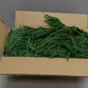 9FT Artificial Norfolk Pine Garland, Realistic Christmas Greenery Garland for Mantle, Staircase, Banister, Fireplace, Wall, Door, Table, Indoor & Outdoor Holiday Xmas Decortions