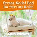 Cat Window Perch - Hammock Bed for Cats Inside - Solid Wood Seat, 4 Strong Suction Cups, Soft Cushion - Rustic Indoor Pet Shelf (Medium, Beige)