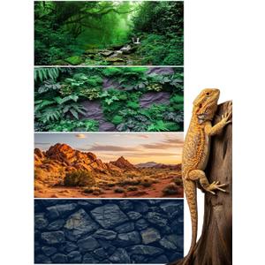 Breling 48 x 18 Inch 4 Pcs Reptile Tank Background,Habitat Scenes, Style3