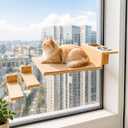 Cat Window Perch, Strong Suction Cups, Cat Window Hammock & Feeding Shelf