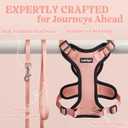 rabbitgoo Cat Harness and Leash for Walking, Escape Proof Soft Adjustable Vest Harnesses for Cats, Easy Control Breathable Reflective Strips Jacket, Light Salmon Pink, XS