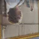 18x24 Ornate Gold Resin Poster Frame, Real Tempered Glass