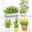 Lifewit 2-Tier Window Plant Shelves 15 inch, Acrylic Adjustable Hanging Floating Shelf, Window Sill Extender for Indoor Succulent Plants, Micro Greens, Seed Starter Pots, Herb Planters