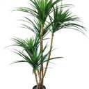 Pure Garden Artificial Tree - 51-Inch Tropical Yucca Plant with Rubber Leaves and Natural Trunk for Living Room, Bedroom and Office - Faux Plants (4ft 3in, Green)