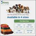 Leather Dog Collar for Medium Dogs, Orange, 1 Inch Wide, Genuine Leather, Heavy Duty with Soft Inner Padding, Comfortable and Durable (Medium (Fit Neck Size 14.5"-18.5"), Tangerine Orange)