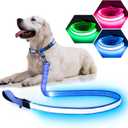 LED Light Up Dog Leash - 4 Ft USB Rechargeable Reflective Nylon Leash with Padded Handle - Flashing Luminous Glow Leashes for Large Medium Pets Night Safety Walking-Blue