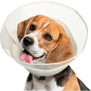 OEH Dog Cone, Soft Cones for Dogs After Surgery, Comfortable Medium Dog Cone Collar, Protective Cone for Dogs to Stop Licking, Beige, ML(Neck: 14.8-17.0)