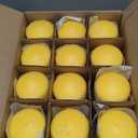 Citronella Candles Outdoor and Indoor Hand Poured Highly Scented Yellow Long Burn Time 3x4 Inch Set of 4 Made in USA