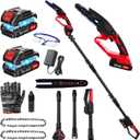 Cordless Pole Saw for Tree Trimming, 2-in-1 Electric Pole Saw & Mini Chainsaw Kit with 2x 21V Batteries, Long Reach for High Branches (DZJ3024)