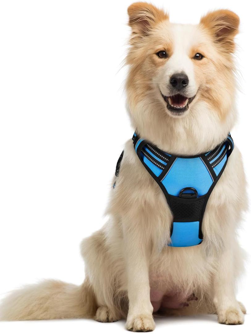 rabbitgoo Dog Harness No Pull with 2 Leash Clips, Adjustable Soft Padded, Reflective Oxford No Choke Pet Vest with Easy Control Handle for Medium Sized Dogs, Blue, Medi