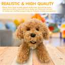 Super Soft Plush Dog Toy, Labrador Puppy, Cream Color, 13 Inches, Great for Kids and Adults, Cuddly Companion for Grandparents, Stuffed Animals & Stuffed Dolls (Goldendoodle), 10 inches