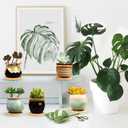 Brajttt 2.1 Inch Succulent Pot with Drainage, Planting/Flower Pots, Small Planter for Mini Plant Ceramic Flowing Glaze Base Serial Set with Holes