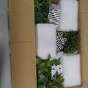 Winlyn 3-Pack Artificial Potted Plants - Faux Eucalyptus, Rosemary, Boxwood Greenery in Small Black & White Geometric Concrete Pots -Desk, Table, Shelf, Windowsill Decor for Indoor Outdoor Home Office