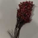 JAKY-Global Babys Breath Silk Artificial Flowers Burgundy 6 Bundle Fall Stems Fake Plants Decor Wedding Party Decoration Bouquets Real Touch DIY Home Garden,Farmhouse,Living Room (Autumn Red-6pcs)