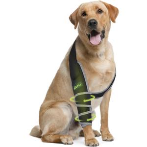 Dog Front Leg Brace, Provides Elbow & Shoulder Support, Helps with Osteoarthritis, Hygroma & Calluses, Prevents Licking with Reflective Material, Right Leg, Size XL (Black, XL)