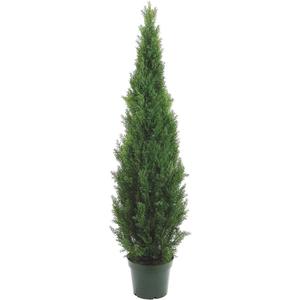 Silk Dcor Cedar Topairy in Plastic Pot, 72-Inch, Green