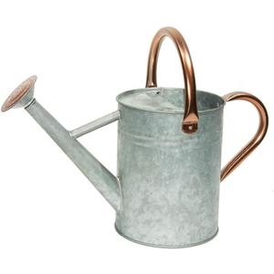 Metal Watering Can, One Gallon Watering Cans Stainless Steel for Outdoor Indoor Garden Plants Watering (Zinc 1 Gallon)