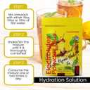 2 x PowderVitamin Electrolytes Powder Plus (100 Servings) Unsweetened Black Tea Electrolyte Powder Keto,SugarFree,Pink Himalayan Salt,1000mgPotassium,150mgCalcium,150mgMagnesium,Hydration Powder NO STEVIA