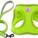 Hipubby Dog Harness and Leash Set, No Pull Soft Mesh Puppy Harness for Small Medium Dogs, Cats - Step in Reflective Breathable Lightweight Vest Harness for Walking, Training - Bright Green, M