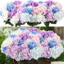 Suncalla Multicolor 6 Bundles Hydrangea Artificial Flowers Bulk 30 Heads 20'' Faux Fake Hydrangea for Spring Graves Easter Decor Porch Indoor Outdoor Home Garden Wedding Table Centerpieces