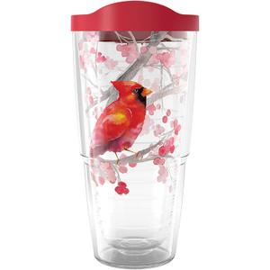 Tervis Christmas Holiday Cardinal and Berry Branches Made in USA Double Walled Insulated Tumbler Travel Cup Keeps Drinks Cold & Hot, 24oz, Classic (Clear)