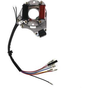 PRO BAT Chinese Stator Magneto 2 Coil for 50cc 70cc 110cc 125cc ATV Quad Taotao Coolster