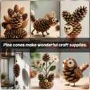 25 Pcs Large Natural Pine Cones for Crafts, 3" to 4" Tall Pine Cones Craft for Christmas, Table, Home Decor, Vase Fillers, Desk & Christmas Trees, Unscented Pinecones Crafts Ornament for Decorating