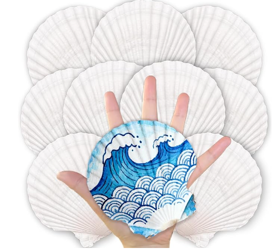 ForraFun 40 Set Scallop Shells for Crafts 4''-5'' White Natural Shells Bulk with Decoupage Floral Napkins Acrylic Paints Brushes and Glue for DIY Arts and Crafts Seashells Home Decor Ornaments