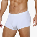 Arjen Kroos Men's Sexy Silky Trunks Underwear Boxer Briefs 1 Pack, Size Medium