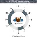 IWB Gun Holster by PH - Concealed Carry Soft Material - Soft Interior - Fits M&P Shield 9mm.40.45 Auto/Glock 19 26 27 29 30 33 42 43 / Rug LC9, LC380 - Taurus Slim, PT111 G2 - Springfield XDs Hellcat