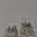 Tinideya 100 Pcs Dried Babys Breath Flowers Bulk Babys Breath Real Pressed Flowers Natural Gypsophila for Resin Wedding Art Craft Baby Shower DIY Invitations Scrap Booking Card Making(Ivory White)