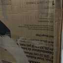 Medline Steel Rollator Walker with Seat, red, 300 lb. Weight Capacity, 8 Wheels, Foldable, Adjustable Handles, Rollator Walker for Seniors, Rolling Walker for Mobility Impairment