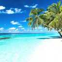 Reyhui Palm Tree Wall Mural Tropic Paradise Beach Seascape Murals Wallpaper for Walls Bedroom Living Room Bedroom TV Background Kids Room DecorationNot Peel and Stick