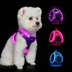 Light Up Dog Harness, Rechargeable LED Dog Harness for Small Medium Large Dogs, Reflective Lighted Safety Vest for Night Walking & Camping, Lightweight & Adjustable, Purple, M