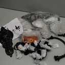 Black Iron Candle Sconces Gothic Wall Candle Holder - Extra Large 28" Medieval 3-Candle Wall Mounted Candlestick for Castle Theme, Halloween, Living Room, Dining Room