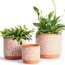 DeeCoo 3 Piece Ceramic Plant pots Indoor Flower Pots Set with Drainage Holes, 5.7/4.7/3.5/inch, Modern Decorative Flower (Red)